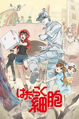 夜来香研究所《工作细胞》免费在线观看