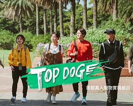 外网黑料《TOP DOG》免费在线观看