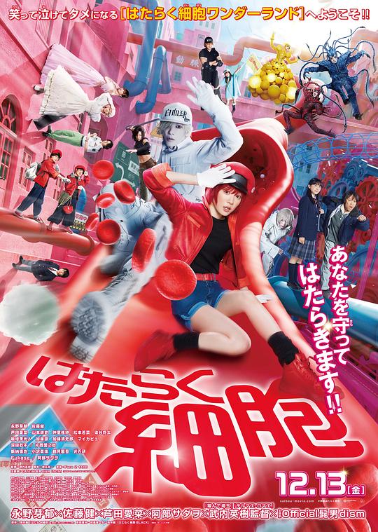 外网猎奇《工作细胞 真人版 はたらく細胞》免费在线观看