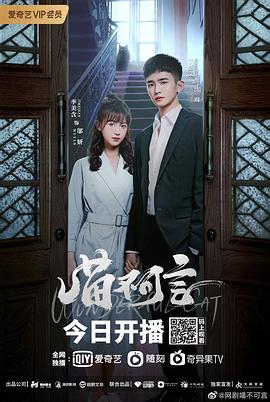 夜来香研究所《喵不可言》免费在线观看