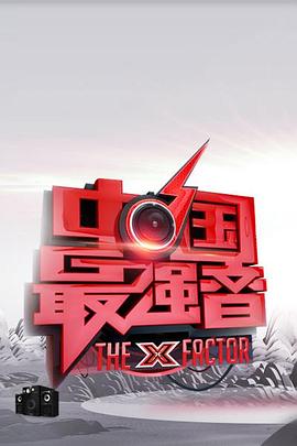 夜来香研究所《中国最强音》免费在线观看