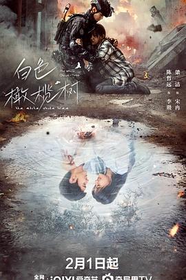 夜来香研究所《白色橄榄树》免费在线观看