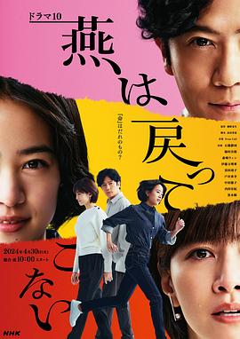 外网猎奇《燕子不再归来》免费在线观看